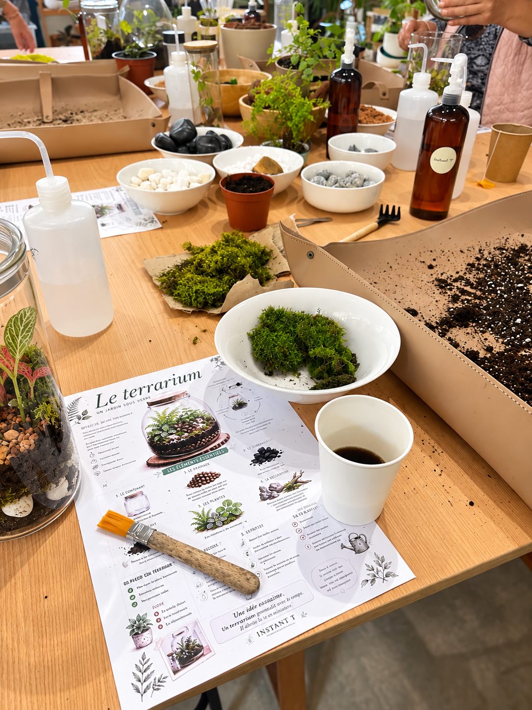 Les Jeudis Botaniques — atelier Instant T