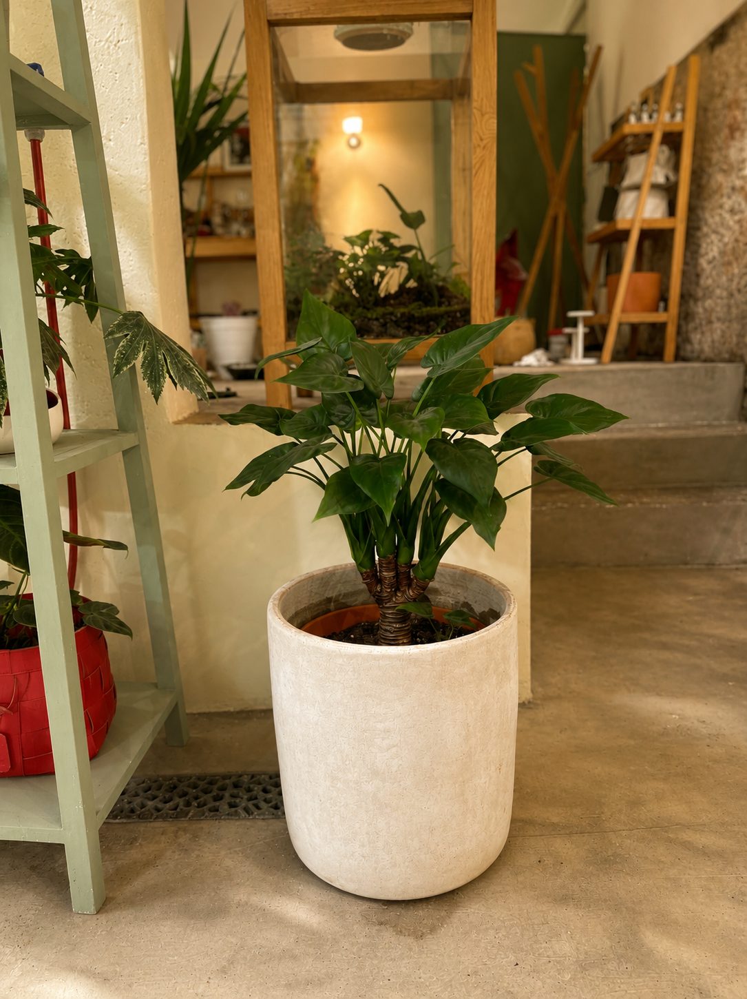 Matinée Jardinage et Plantes — Instant T